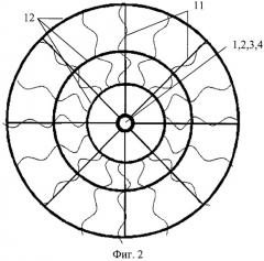 Способ формирования ствола и структуры кроны древовидного виноградника (вариант русской логики - версия 2) (патент 2477602)