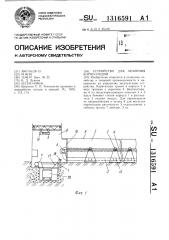 Устройство для хранения корнеплодов (патент 1316591)