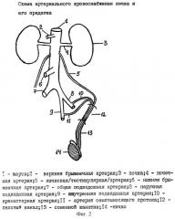 Способ лечения эпидидимоорхита (патент 2249446)