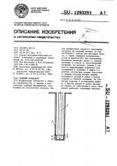Свайный фундамент (патент 1293281)