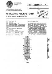 Грунтовый анкер (патент 1318657)