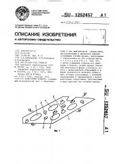 Арматурный элемент (патент 1252457)