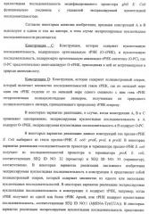 Система экспрессии компонентов ортогональной трансляции в эубактериальной клетке-хозяине (патент 2467069)