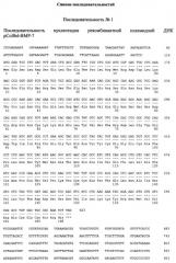 Рекомбинантный белок collbd-bmp-7, рекомбинантная плазмида pcollbd-bmp-7, штамм escherichia coli-продуцент рекомбинантного белка collbd-bmp-7, способ получения рекомбинантного белка collbd-bmp-7 (патент 2408730)