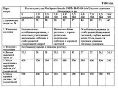 Способ рекультивации нарушенных земель (патент 2630237)