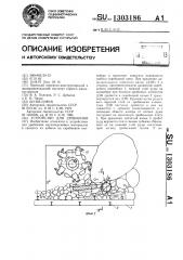 Устройство для дробления (патент 1303186)