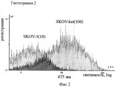 Стабильная клеточная линия аденокарциномы яичника человека skov-kat (патент 2404244)