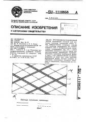 Противофильтрационный экран (патент 1110858)