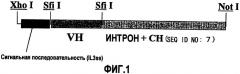 Биспецифическое антитело, заменяющее функциональные белки (патент 2339696)