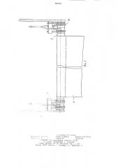Устройство для укладки плодов в тару (патент 897645)
