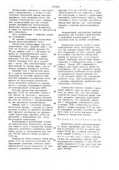 Балластная призма железнодорожного пути (патент 1425263)