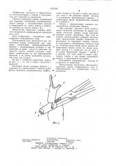 Кишечный зажим (патент 1097309)