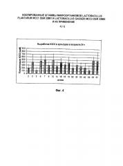 Изолированные штаммы микроорганизмов lactobacillus plantarum mcc1 dsm 23881 и lactobacillus gasseri mcc2 dsm 23882 и их применение (патент 2603059)