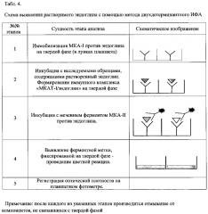 Штамм гибридных культивируемых клеток животных mus musculus l. - en-4c9 - продуцент моноклональных антител против эндоглина (cd105) человека (патент 2607029)