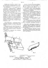 Транспортер разбрасывателя удобрений (патент 1061731)