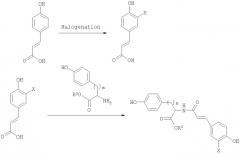 Саморассасывающиеся рентгеноконтрастные по своей природе полимеры для многоцелевого использования (патент 2396289)