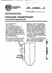 Топка для сжигания природного газа (патент 1016627)
