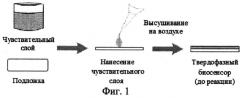 Способ определения катехоламинов и их метаболитов с использованием твердофазного флуоресцентного биосенсора (патент 2554499)