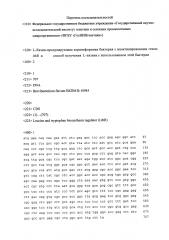 L-лизин-продуцирующая коринеформная бактерия с инактивированным геном ltbr и способ получения l-лизина с использованием этой бактерии (патент 2639247)