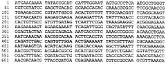 Антигены neisseria meningitidis (патент 2343159)