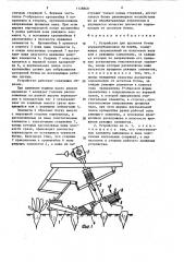 Устройство для удаления ботвы корнеклубнеплодов на корню (патент 1128860)