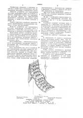 Устройство для выращивания растений (патент 1099893)