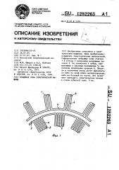 Зубцовая зона электрической машины (патент 1282263)