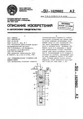 Глубиннонасосная установка для добычи нефти (патент 1629602)