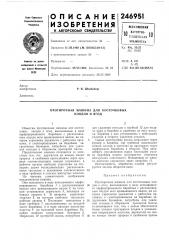 Протирочная машина для косточковыхплодов и ягод (патент 246951)
