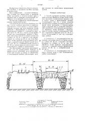Способ улучшения пастбищ (патент 1371547)
