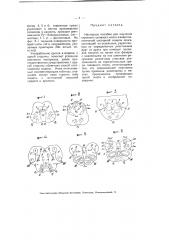 Наглядное пособие для изучения строения головного мозга (патент 5160)