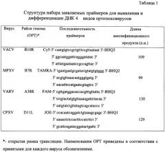 Набор олигонуклеотидных праймеров и флуоресцентномеченых зондов для видоспецифичной экспресс-идентификации ортопоксвирусов на основе мультиплексной пцр в реальном времени (патент 2427648)