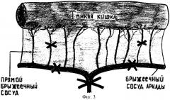 Способ определения кровонасыщения биологических тканей в условиях ишемии на модели тонкой кишки (патент 2276792)