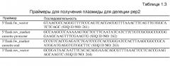 Клетка нитчатых грибов с дефицитом протеаз и способы ее применения (патент 2645252)