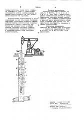 Глубинно-насосная установка (патент 989049)