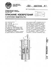 Устройство для измерения уровня жидкости в скважине (патент 1557316)