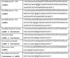 Способ определения устойчивости грибного фитопатогена, аллельспецифический праймер и набор (патент 2296162)