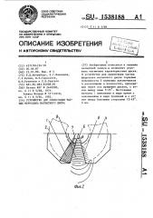 Устройство для ориентации частиц ферролака магнитного диска (патент 1538188)