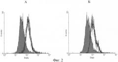 Способ иммунофлуоресцентного анализа маркеров множественной лекарственной резистентности в солидных опухолях человека (патент 2413948)