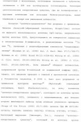 Антитела, сконструированные на основе цистеинов, и их конъюгаты (патент 2412947)