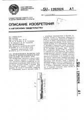 Вращающаяся подвеска для спуска и цементирования потайных колонн обсадных труб (патент 1262024)