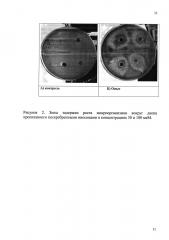 Кремнийорганические ниосомы с бактерицидными и парамагнитными свойствами (патент 2625722)