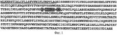 Термостабильная липаза из бактерии thermosyntropha lipolytica, активная в щелочной среде (патент 2508402)