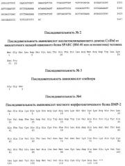 Рекомбинантный белок collbd-bmp-2, рекомбинантная плазмида pcollbd-bmp-2, штамм escherichia coli-продуцент рекомбинантного белка collbd-bmp-2, способ получения рекомбинантного белка collbd-bmp-2 (патент 2408727)