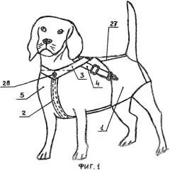 Гигиеническое белье для домашних животных-млекопитающих (патент 2460492)