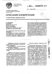 Цифровой многоканальный приемник (патент 1646070)