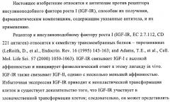 Антитела к рецептору инсулиноподобного фактора роста i и их применение (патент 2363706)