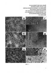 Планарный твердофазный оптический сенсор для определения белковых соединений методом спектроскопии гигантского комбинационного рассеяния и его применение для детектирования белковых соединений (патент 2659987)