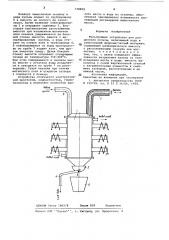 Фильтрующее устройство (патент 728889)