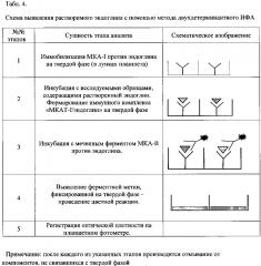 Штамм гибридных культивируемых клеток животных mus musculus l. en-4e4 - продуцент моноклональных антител против эндоглина (cd105) человека (патент 2604192)